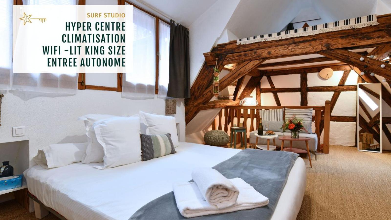 Gite See You Soon - Studio Surf Colmar Buitenkant foto